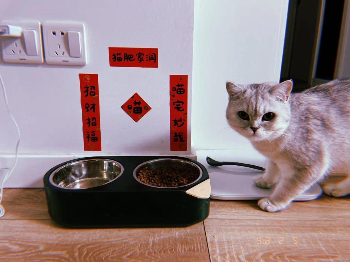 Zhe-Yi Boutique Guesthouse Peking Kültér fotó